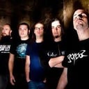 Gorod