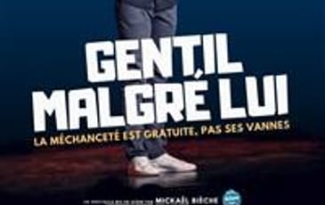 Matthieu Magne dans Gentil malgré lui