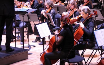 L'Orchestre des Jeunes de l'Arc Alpin