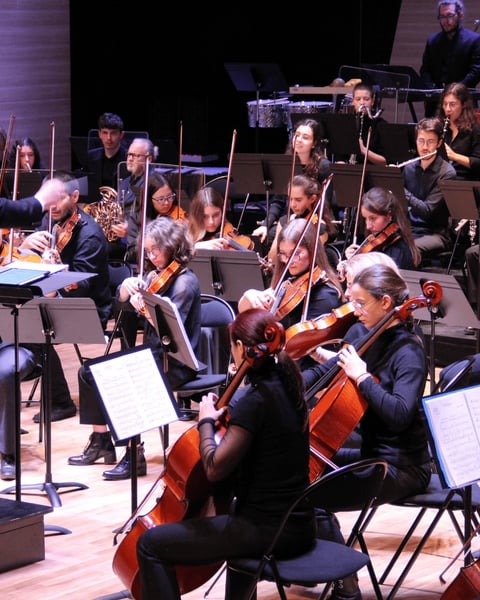 L'Orchestre des Jeunes de l'Arc Alpin