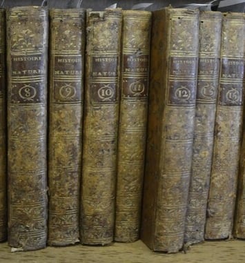 Découvrir une bibliothèque patrimoniale