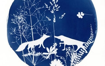 Cyanotype