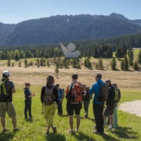 Visite guidée "Le maquis des Glières"