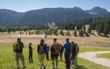 Visite guidée "Le maquis des Glières"