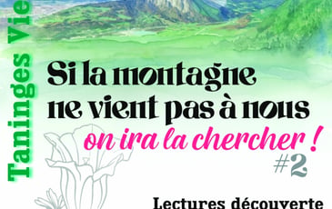 Si la montagne ne vient pas à nous, on ira la chercher !