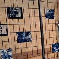 À la découverte du cyanotype