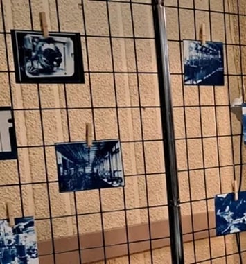 À la découverte du cyanotype