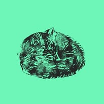 Animaux d'ici & mots d'autrefois