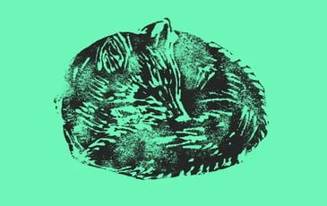 Animaux d'ici & mots d'autrefois