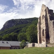 L'abbaye d'Aulps, un patrimoine sauvé par une poignée d'hommes
