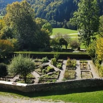 Visite du jardin des Simples