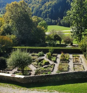 Visite du jardin des Simples