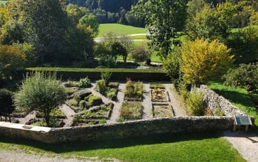 Visite du jardin des Simples