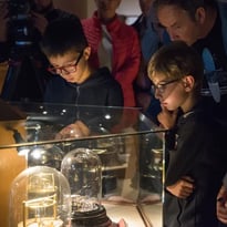 Visite guidée des collections "Mécanique et roues dentées"