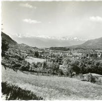 Fruits et arboriculture dans la Savoie ancienne, l'économie de verger