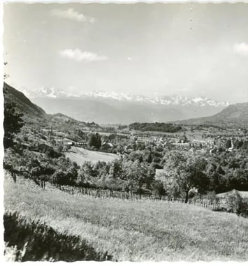 Fruits et arboriculture dans la Savoie ancienne, l'économie de verger