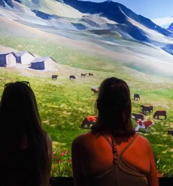 Visite libre du musée du Mont-Blanc