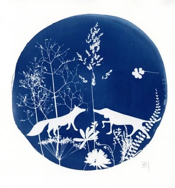 Atelier Cyanotype