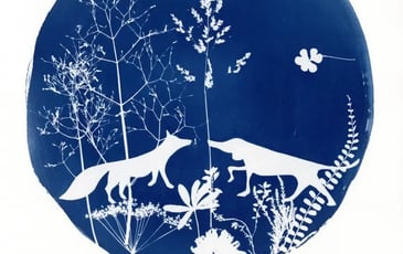 Atelier Cyanotype