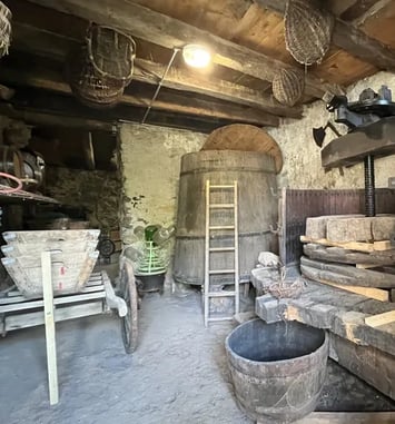 Chavoires et son passé viticole au fil de la généalogie de la famille Tardivel-Talabar
