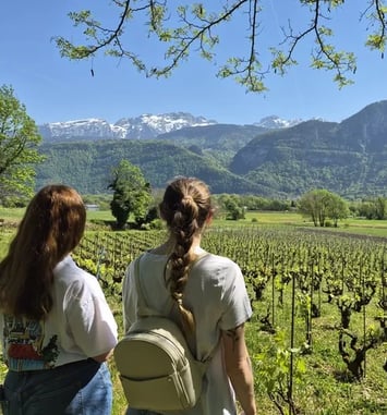 A la découverte du vignoble d'Ayze et du Gringet