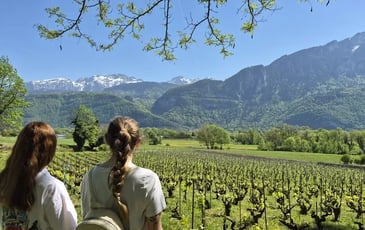 A la découverte du vignoble d'Ayze et du Gringet