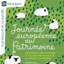 Pratiques et savoir-faire autour de la laine de mouton