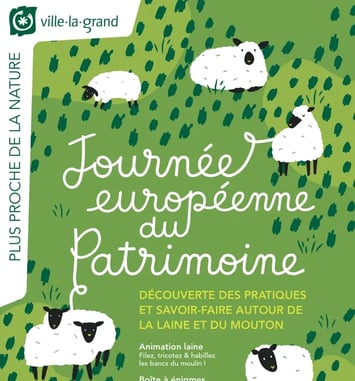 Pratiques et savoir-faire autour de la laine de mouton