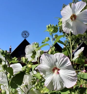 Visitez un Jardin Remarquable aux portes d'Annecy