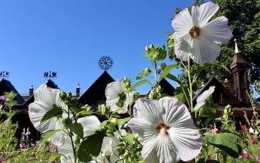 Visitez un Jardin Remarquable aux portes d'Annecy