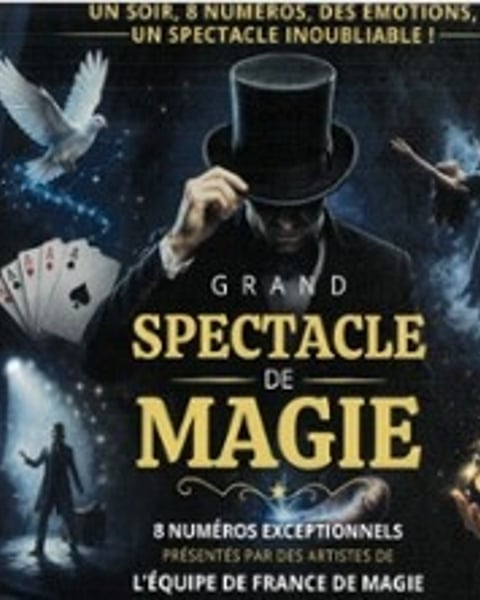 Grand Spectacle de Magie