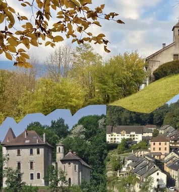 Visite guidée "Sur les pas de l'histoire d'Alby"