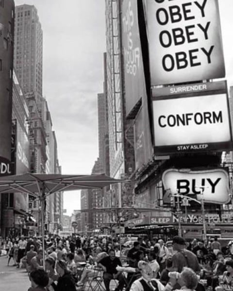 They Live par Robert le Magnifique