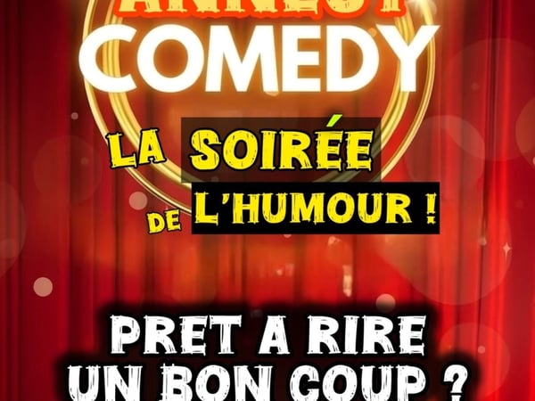 Annecy Comedy : la soirée de l'humour